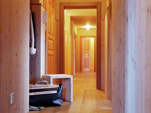 Apartment Brizerhaus Mayrhofenramsau III