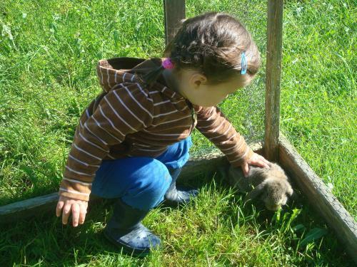 Agroturismo Bauernhof Bertsch