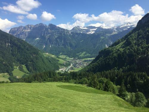 Apartamento K�ferhof