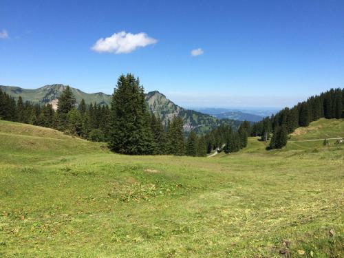 Apartamento K�ferhof