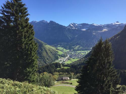 Apartamento K�ferhof