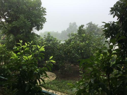 Homeandhomestay Chiang Kham