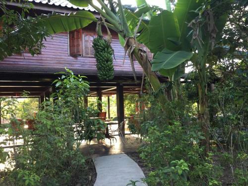 Homeandhomestay Chiang Kham