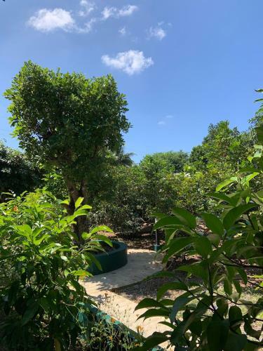 Homeandhomestay Chiang Kham