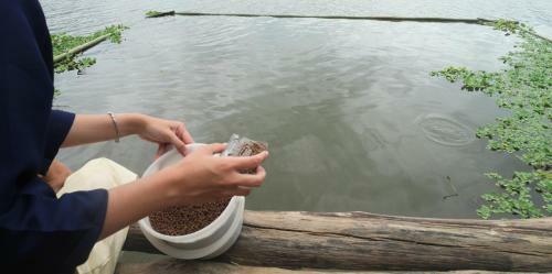 Hotel Doi Inthanon Riverside Resort