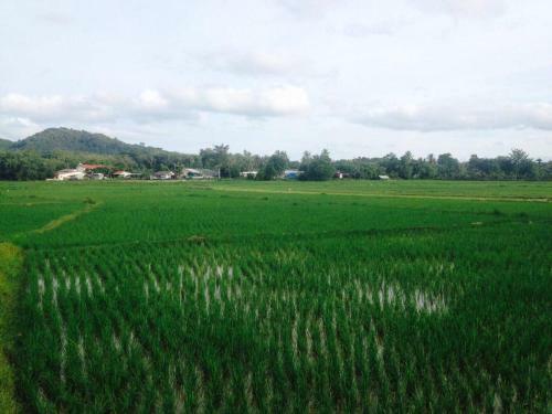 Mr Bao Homestay & Bungalows