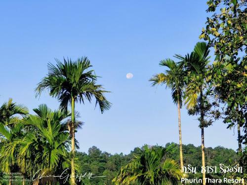Hotel Phurin Thara Resort