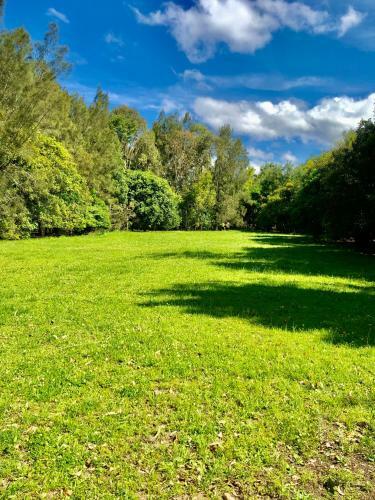 The River Front Tiny House - Clarence Valley Tiny Homes