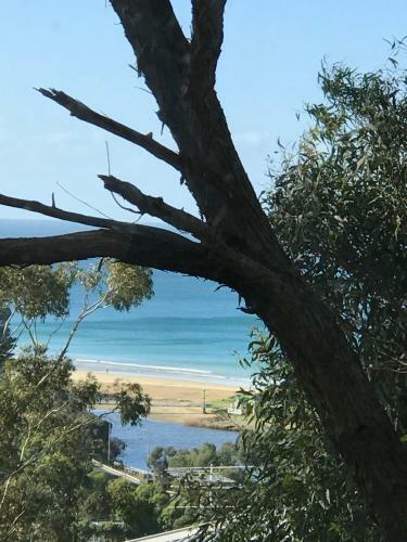 Villa Lorne Sea View Terrace House