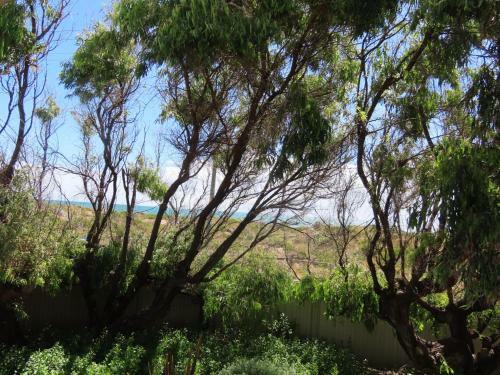 Madora Bay On The Beach