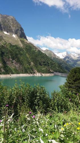 Apartamento G�stehaus Wildauer