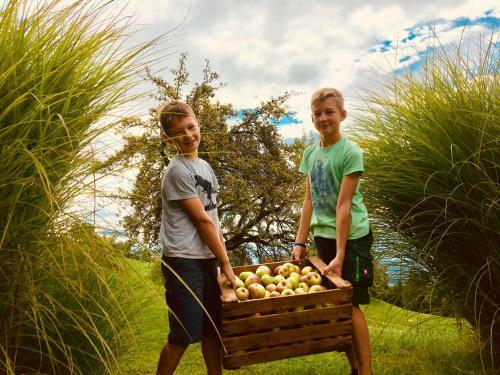 Agroturismo Bauernhof-pension Stauder
