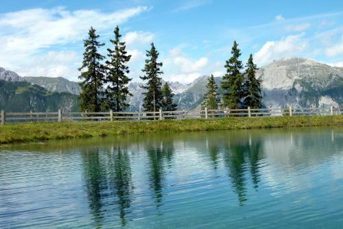 Hostal Europa Pension Tirol
