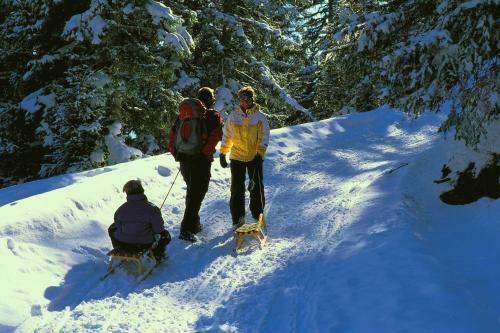 Hostal Europa Pension Tirol