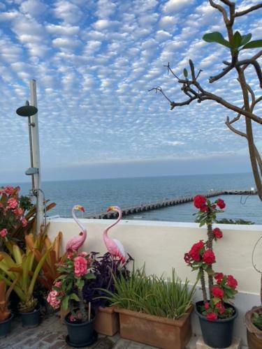 Posada Pierview Rooms