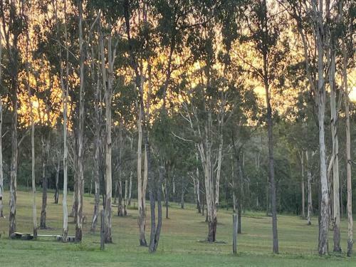 Saddleback Country Cabins Near Gin Gin