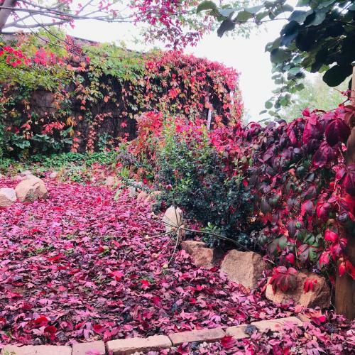 Holly House Bed & Breakfast