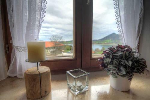 Agroturismo Oberreiterhof