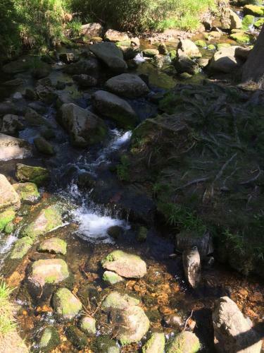 Apartamento Bergwelt Braunlage