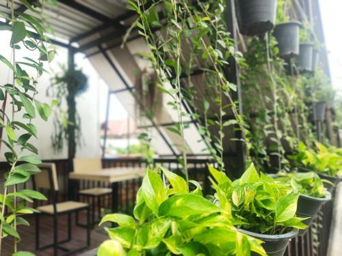 Albergue Nai Wiang Poshtel