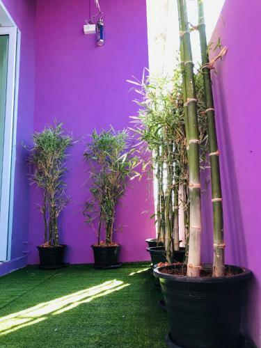 Albergue Supalakhouse
