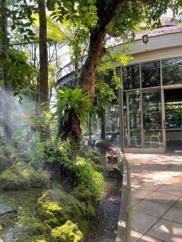Hotel Tree Scape Retreat Resort