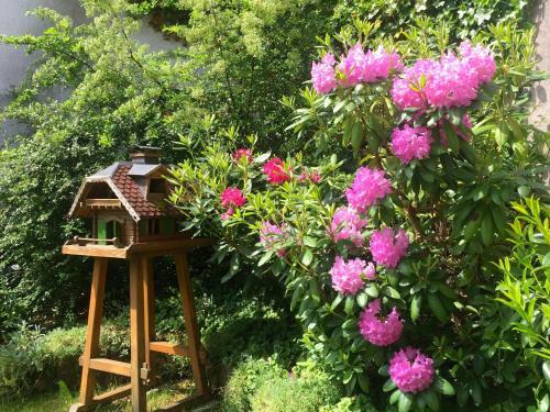 Hostal Pension Hildegund