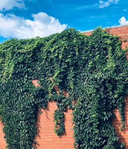 Apartamento Yours And Theirs Pet Friendly Accommodation