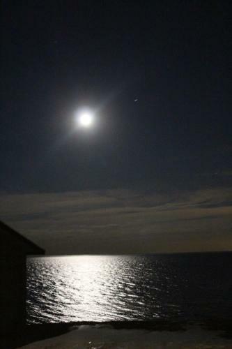 Cheerful Life At Cottage On Lake Erie