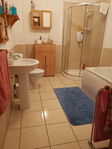 Ground Floor Sleivemore Apartment
