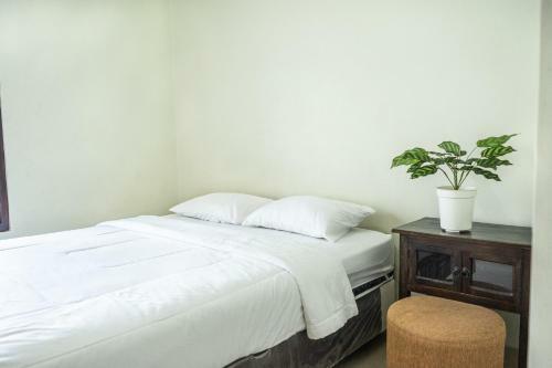 Hostal Gumitish Guest House Singaraja