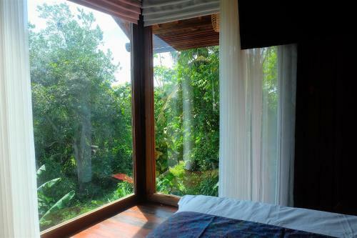 Lodge Villa Jungle Wood