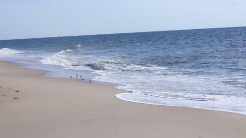 Mini Beach House I Sylt/rantum