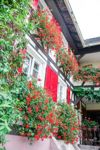 Hotel De Charme 'zum Schiff'