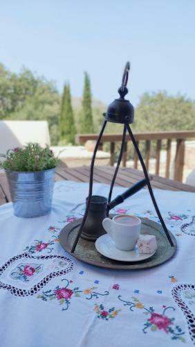 Fameliti Casa Torre