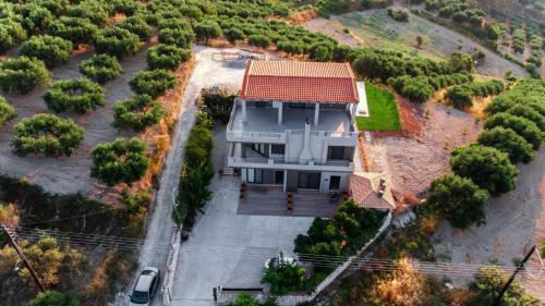Villa Alpha Estate Olive Grove