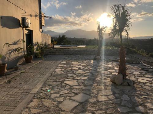 Villa Alpha Estate Olive Grove