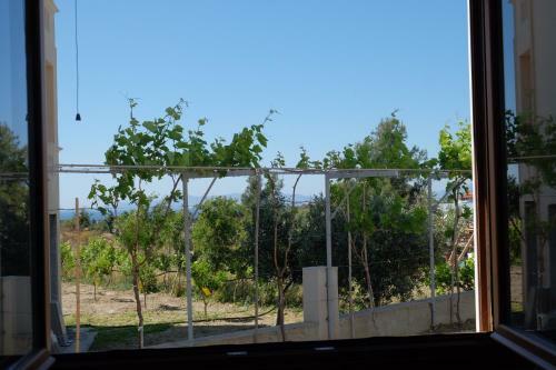 Apartamento Garden House