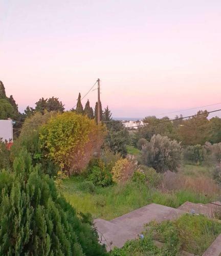 The Sunset Yard Home