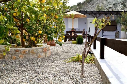 Villa Plumeria House
