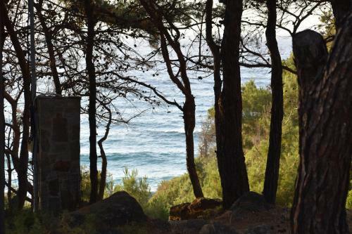Dolihis Gi, Poseidon