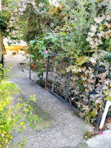 Amazing Apartment Near Old Town