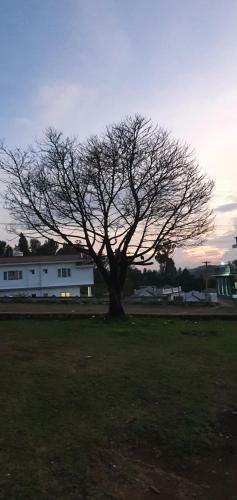Villa Shree Suites Ooty