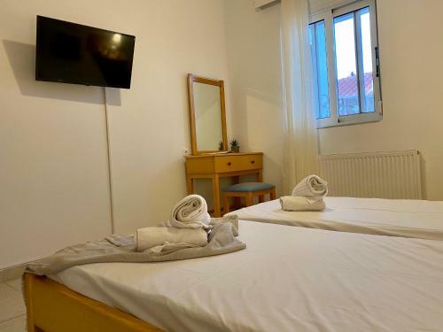 New Smart & Modern Apartment Zipari