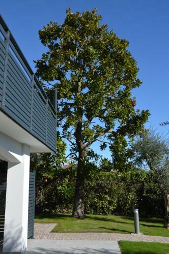 B&B Fior Di Magnolia