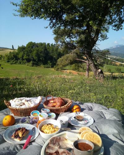 Agroturismo Agriturismo Marzolara.
