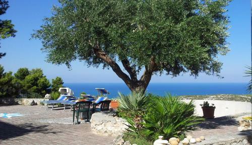 Villa Jamila