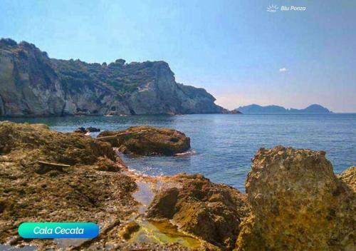 Apartamento Bluponza Case Vacanza Appartamento Falco