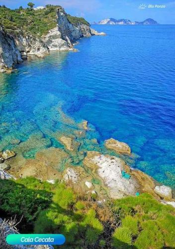 Apartamento Bluponza Case Vacanza Appartamento Falco