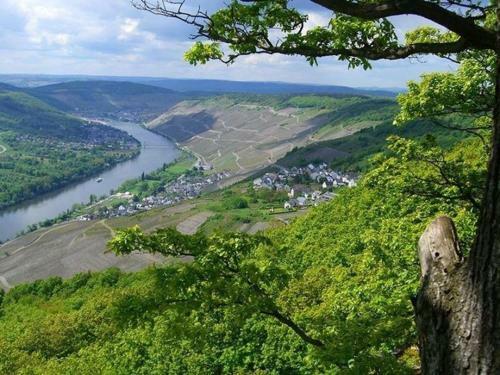 Apartamento Penthouse Mosel Hunter